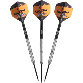 BULLS CP Steel Darts Dirk van Duijvenbode Original Changeable Point 90% Tungsten Steeltip Darts Steeldart