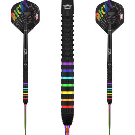 BULLS NL CP Steel Darts Ricky Evans The Rapid Changeable...