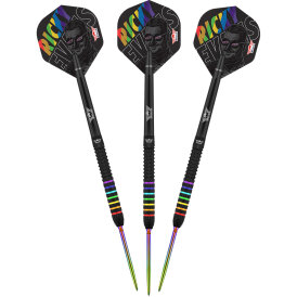 BULLS NL CP Steel Darts Ricky Evans The Rapid Changeable Point 95% Tungsten Steeltip Darts Steeldart