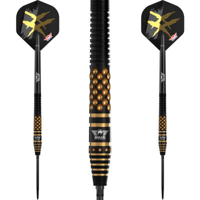 BULLS NL CP Steel Darts Richard Veenstra Flyers E2 Changeable Point 90% Tungsten Steeltip Darts Steeldart