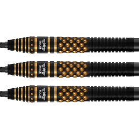 BULLS NL CP Steel Darts Richard Veenstra Flyers E2 Changeable Point 90% Tungsten Steeltip Darts Steeldart