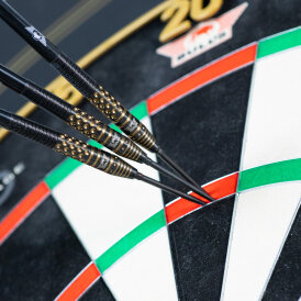 BULLS NL CP Steel Darts Richard Veenstra Flyers E2 Changeable Point 90% Tungsten Steeltip Darts Steeldart