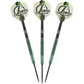 BULLS NL CP Steel Darts Liam Maendl-Lawrance Changeable Point 90% Steeltip Darts Steeldart 23 g