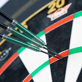 BULLS NL CP Steel Darts Liam Maendl-Lawrance Changeable Point 90% Steeltip Darts Steeldart 23 g