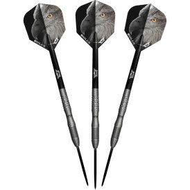 BULLS NL CP Steel Darts Eagle 3 Changeable Point 90% Tungsten Steeltip Darts Steeldart