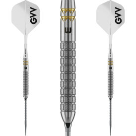 Winmau Steel Darts Switch Point Gian van Veen W-Max Dart...