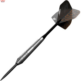 "Leicht bespielt" - BULLS NL Steel Darts Dirk van Duijvenbode E2 80% Tungsten Steeltip Darts Steeldart 24 g
