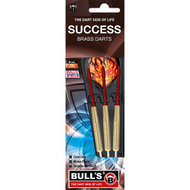 BULLS Success Steel Dart 22 g